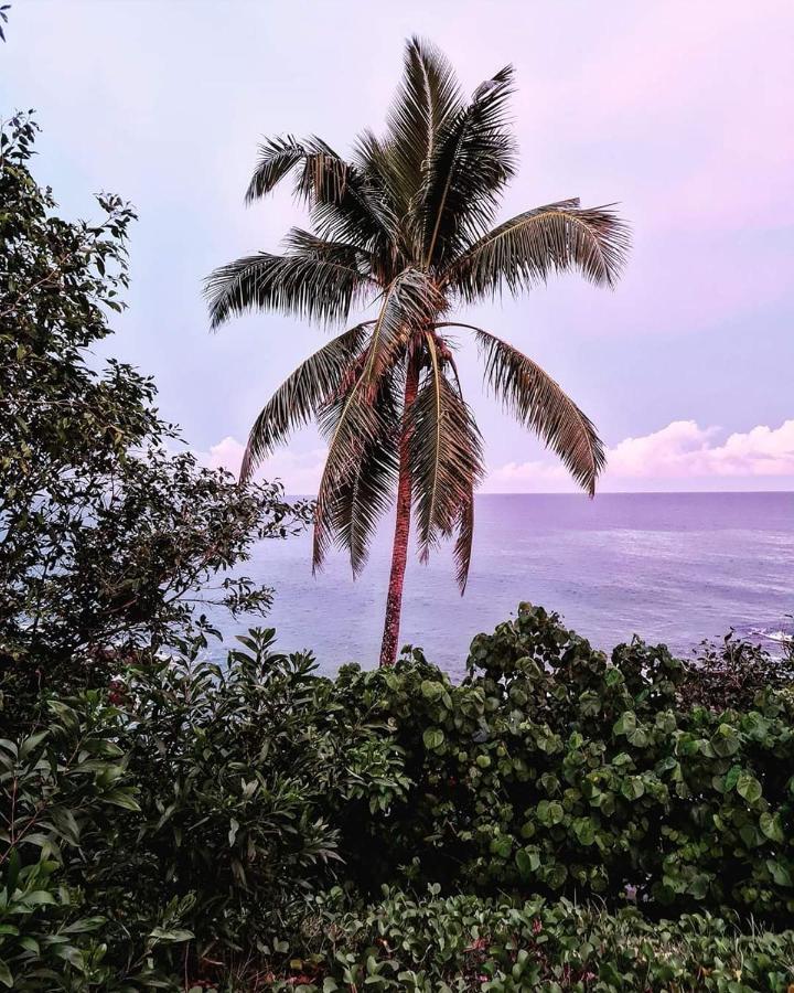 City View ANDAMAN AND NICOBAR ISLANDS Exterior photo